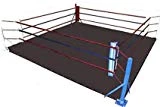 MMA Floor Ring Canvas Mat - for Wrestling,Boxing,Gymnastics & Martial Arts (Black Canvas, 20 X 20)