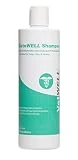 Ketoconazole Chlorhexidine Shampoo for Dogs & Cats - Medicated Antifungal & Antiseptic Shampoo for the Treatment of Ringworm, Yeast Infections, Acne, Mange & Hot Spots Oatmeal & Aloe 12oz Mint Scent