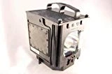Mitsubishi WD-57731 Rear Projector TV lamp with housing Replacement lamp