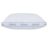 Beautyrest Power Extra Firm Pillow (Standard)