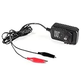 6V Volt 500MA Sealed Lead Acid Rechargeable Battery Charger