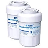 Waterspecialist NSF 53&42 Certified MWF Refrigerator Water Filter, Replacement for GE SmartWater MWFP , MWFA, GWF, HDX FMG-1, WFC1201, GSE25GSHECSS, PC75009, RWF1060, 197D6321P006 (Pack of 2)