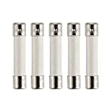 Microwave Fuse Ceramic Fuse Cartridge Fuse 20 Amp 250V Slow-Blow Compatible and Universal Replace for GE WB27X10388 and Whirlpool Kenmore Other Microwave 5 PCS