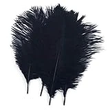 Shekyeon Black 10-12inch 25-30cm Ostrich Feather Home Decoration DIY Craft Pack of 10