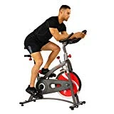 Sunny Health & Fitness Spin Bike Belt Drive Indoor Cycling Bike with LCD Monitor, 40 lb Chrome Flywheel, 265 lb Max Weight - SF-B1423