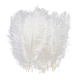 AWAYTR 10pcs Natural Ostrich Feathers for Wedding Centerpieces Home Decoration (12-14 inch, White)