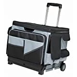 ECR4Kids MemoryStor Universal Rolling Cart and Organizer Bag Set, Black/Gray, Black/gray, 17.50' x 15.75' x 16.50' (763960528426)