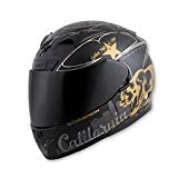 Scorpion EXO Unisex Adult EXO-R710 Golden State Full Face Helmet 71-3105