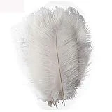 Tinsow 15 Pcs Natural 10-12inch(25-30cm) Ostrich Feathers Plume Wedding Centerpieces Home Decoration Festival Supplies (White)