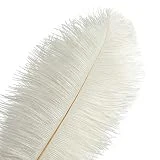 Piokio 20 pcs Natural White Ostrich Feathers 12-14 inch(30-35 cm) for Wedding Party Centerpieces Halloween Christmas Home Decorations