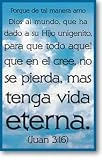 Moments With The Book God's Way of Salvation (John 3:16) (Gospel Tract, Packet of 100, Spanish)