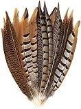 Outuxed 15 pcs Natural Pheasant Feathers for Crafts DIY Feather Tails in 3 Styles 25-30cm