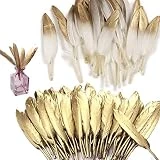 Shindel Gold Dipped Feathers, 60 PCS Natural Feathers Gold Feathers for Art Craft Decor Baby Shower Decorations
