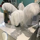 Sowder 14-16inch(35-40cm) Ostrich Feathers Plume for Wedding Centerpieces Home Decoration Pack of 10pcs(White)