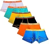 JINSHI Mens Bamboo Underwear Boxer Briefs Short Leg Tagless Pouch Trunk 3XL(39'-42')/US XL
