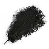 Wionya 5pcs Ostrich Feather Craft 16-18inch(40-45) Plume for Wedding Centerpieces Home Decoration