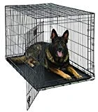 XL Dog Crate | MidWest Life Stages Folding Metal Dog Crate | Divider Panel, Floor Protecting Feet, Leak-Proof Dog Tray | 48L x 30W x 33H Inches, XL Dog Breed