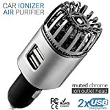 Car Air Purifier Ionizer - 12V Plug-in Ionic Anti-Microbial Car Deodorizer with Dual USB Charger - Smoke Smell, Pet and Food Odors, Allergens, Viruses Eliminator for Car (Matte Silver)