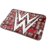 Ww-E Carpet Ultra Soft Area Rugs Carpets Non-Slip Flannel Indoor Outdoor Floor Mat for Bedroom Living Room Home Decorate 23.6 X 15.8 Inch