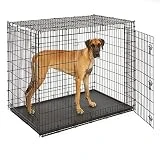 MidWest Homes for Pets XXL Giant Dog Crate | 54 Inch Long Ginormous Double Door Dog Crate Ideal for a Great Dane, Mastiff, St. Bernard & Other XXL Dog Breeds